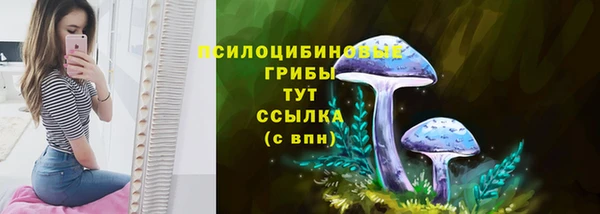 дмт Бронницы