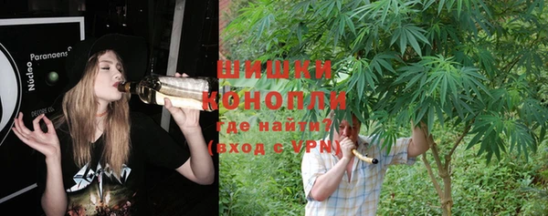 дмт Бронницы