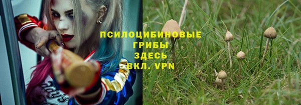 ALPHA-PVP Бородино