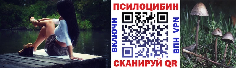 Галлюциногенные грибы Psilocybe  ссылка на мегу ССЫЛКА  Новоузенск  закладка 