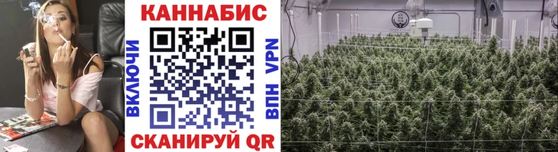 Бошки Шишки конопля  Новоузенск 
